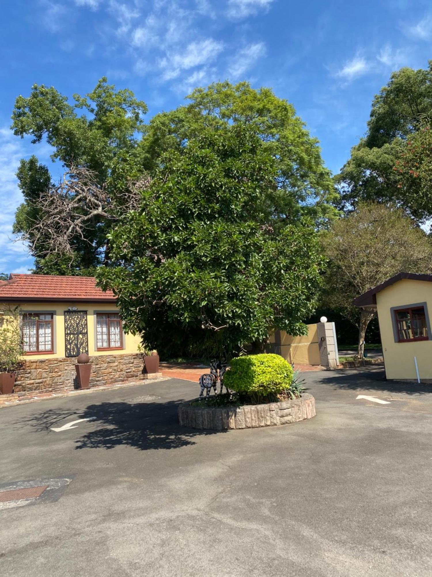 Madlula'S Guesthouse Pietermaritzburg Luaran gambar