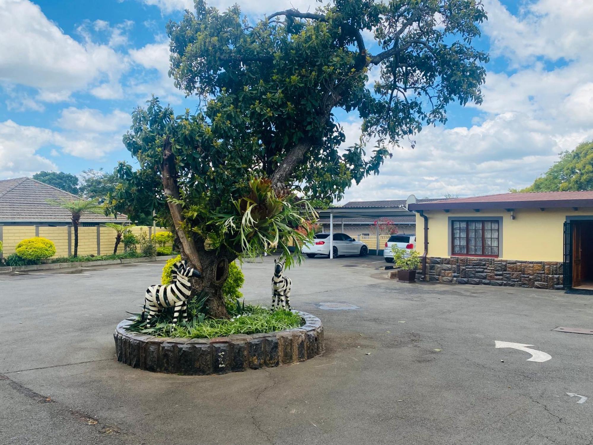 Madlula'S Guesthouse Pietermaritzburg Luaran gambar